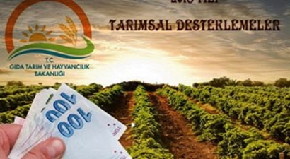 Tarımsal Destekleme Ödemeleri Başlıyor