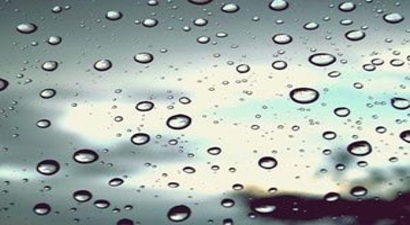 Yağışlar, Gap Çiftçisini Umutlandırdı