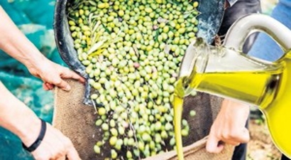 `35`lik Zeytinyağı Hile Korkusu Saldı