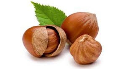 Fındıktaki Fiyat Tartışmaları