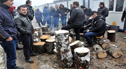 Artvin`de Ağaç Kesimi Endişesi Devam Ediyor
