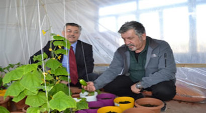 Van`da `Yeni Bir Toprak Projesi`
