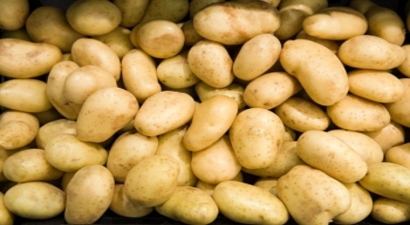 Patates Fiyatları Artıyor