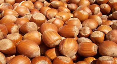 Bakanlıktan Rekolte Tahmini Açıklamasına Yasak