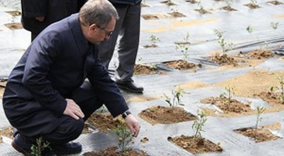 ÇAYKUR`dan Gen Havuzu Projesi