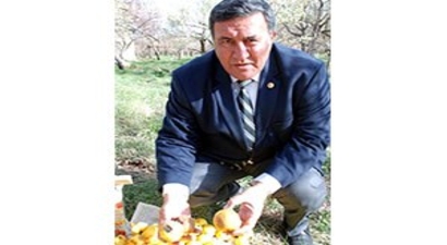Aracı Sistemi, Elma Üreticisini Mağdur Ediyor