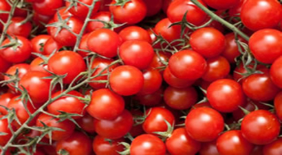 Domates Krizi Turunçgilde Sorunların Habercisi