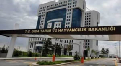 Sabahat Güllüoğlu, Tarla Bahçe Bitkileri Daire Başkanlığı`na Atandı