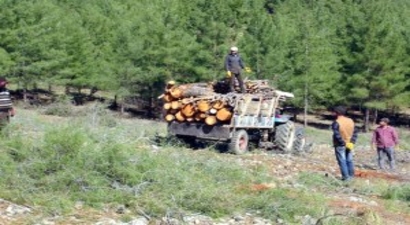 Kahramanmaraş`ta Taş Ocağı İçin Binlerce Ağaç Feda Edildi