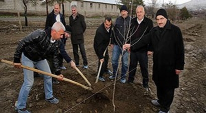 Kapama Dut Bahçesi Projesinde İlk Fidan Dikildi