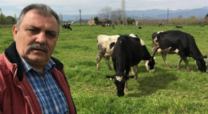 `ESK, Günlük Bin 500 Ton Süt Toplayacak`