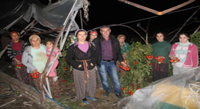 Muğla`da Hortum Seraları Yıktı