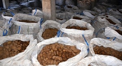 Patates Üreticisinin Suriye Sevinci