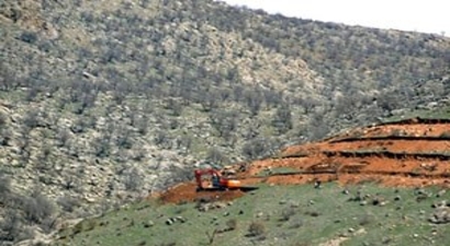 Siirt`te Dağlık Alanlar Fıstık Bahçelerine Dönüştürüldü