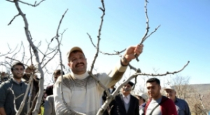 Siirt`te Tarımda Kurumlar Arası İşbirliği