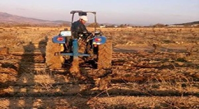 Soğuk Vuran Bağlar Sökülüyor