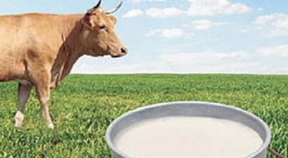 Çelik`ten Süt Piyasasına Müdahale Talimatı