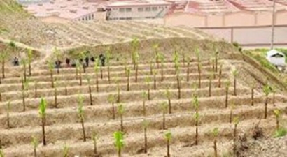 1000 Kişilik Tarım Cezaevi İçin İlk Kazma Vuruldu