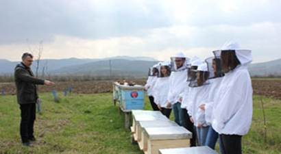 Tika`dan Bosna Hersek`te Arıcılığa Destek