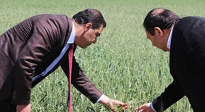 Devletin 30 Bin Hibe, 100 Bin TL Kredisi Dolandırıcıları Harekete Geçti
