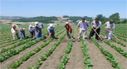 Güneydoğulu Çiftçiye Sayaç Uyarısı