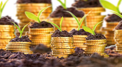 Dünya Bankası`na göre Türkiye`de Tarım Verileri