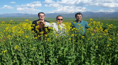 Yemlik Kolza`da Olumlu Sonuç Alındı