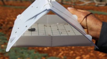 Gaziantep Fıstık Yetiştiricileri İçin `Feromon Tuzak` Devri Başlıyor