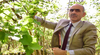Alan Bazlı Gelir Desteği Haziran`da Ödenmeye Başlanacak