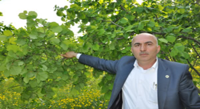 `Emanete Verilen Fındıklar Geri İstenmeli`