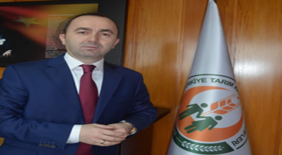 `Dondan Zarar Gören Fındıkta Henüz Hasar Tespiti Yapılmadı`