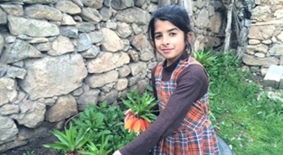 Hüzün Çiçekleri Ters Laleler Açmaya Başladı
