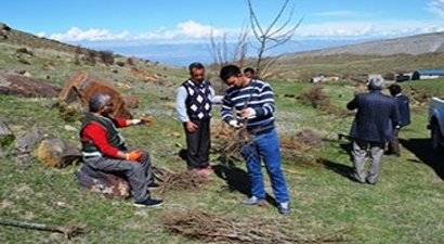 Iğdır`da Yaban Hayata Meyve Fidanı Dikildi