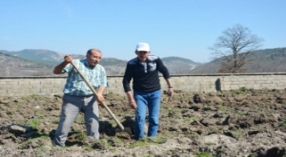Hizmet Birliği`nden Meyve Fidanı Desteği