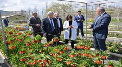Vali Kahraman; `Kendi Lalelerimizi Üretip Dünya Pazarında Yer Alacağız`