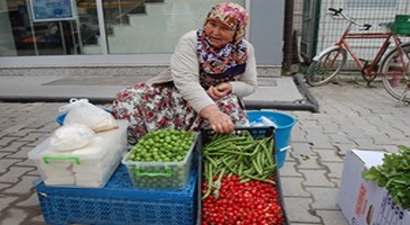 Lapseki Kirazi Halk Pazarına İndi