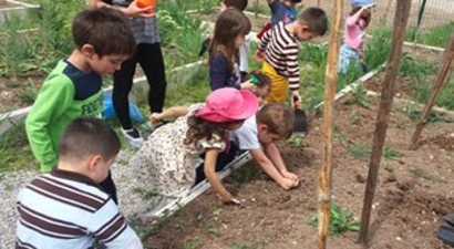 Minikler, Sebze Yetiştiriciliği Kurslarını Ziyaret Etti