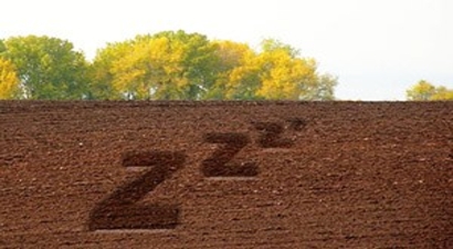 Nadasa Bırakılan Arazide Hayvanların Otlaması Yasaklandı