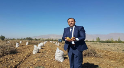 Patates Enstitüsü`ne Staj Başvuruları Başladı