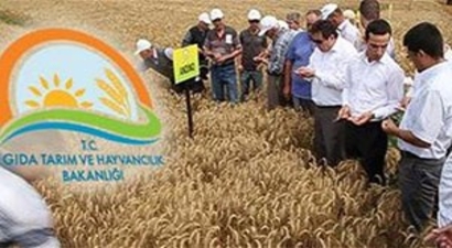 Urfa`ya 56 Mühendis İle 25 Veteriner Alınacak