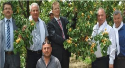 Denizli Kayısı`sı Marka Olma Yolunda