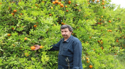 Antalyalı Üretici İsyanda!