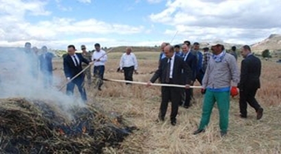 Adıyaman`dan Ortadoğu`ya Firikbuğday İhracatı