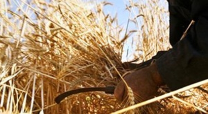 Çiftçiye Yılın İlk 5 Ayında 6 Milyar Liralık Destek