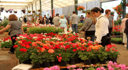 Karşıyaka`da Çiçek Kokacak Festival