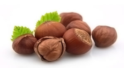 `Fındık Dünya Genelinde Yok`