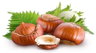 Serbest Piyasada Fındık 15 TL Olmalı