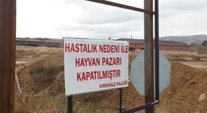Kırıkkale`de Hayvan Pazarı Yeniden Kapatıldı