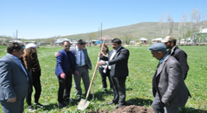 Patnos`ta 400 Elma Fidanı Dikildi