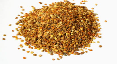 Propolis Ekonomiye Kazandırılacak